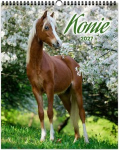 KALENDARZ 2027 WIELOPLANSZOWY 34X44CM KONIE