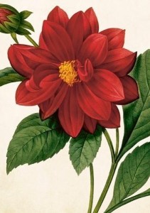 KARNET B6 + KOPERTA DALIA CZERWONA