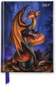 TERMINARZ 2027 A6 TW ANNE STOKES
