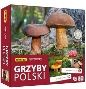 MEMORY GRZYBY POLSKI, ADAMIGO