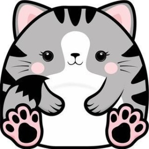 KARNET UNIWERSALNY - CHONKY CAT