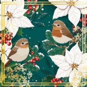 KARNET KW BOŻE NARODZENIE - JADE BIRDS