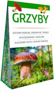 GRZYBY. PORĘCZNY, LAMINOWANY MINIPRZEWODNIK