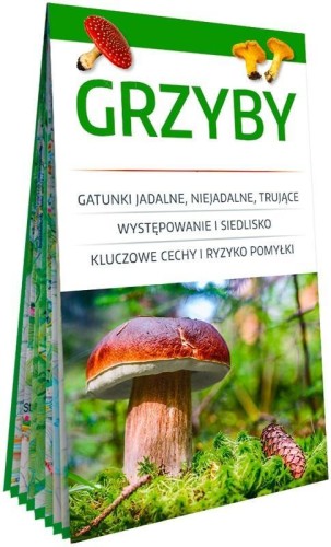 Grzyby. Poręczny, laminowany miniprzewodnik