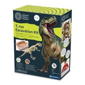 WYKOPALISKA - T-REX, BRAINSTORM