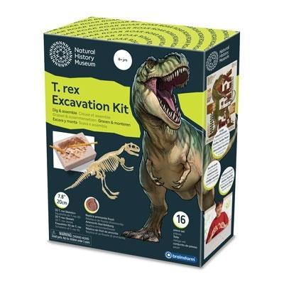 Wykopaliska - T-Rex, Brainstorm