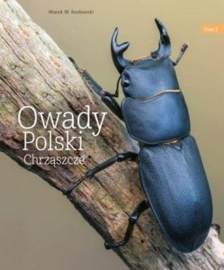 OWADY POLSKI T.2 CHRZĄSZCZE, MAREK W. KOZŁOWSKI