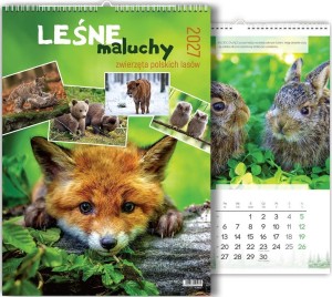 KALENDARZ 2027 WIELOPLANSZOWY LEŚNE MALUCHY