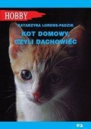 KOT DOMOWY CZYLI DACHOWIEC