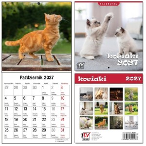 KALENDARZ 2027 DLA DZIECI 16X32 13 PLANSZ KOCIAKI