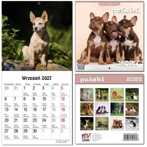 KALENDARZ 2027 DLA DZIECI 16X32 13 PLANSZ PSIAKI