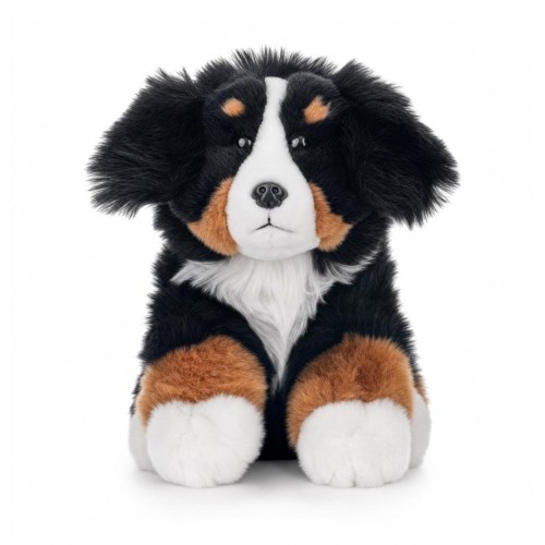 Pies berneński 23cm, Beppe