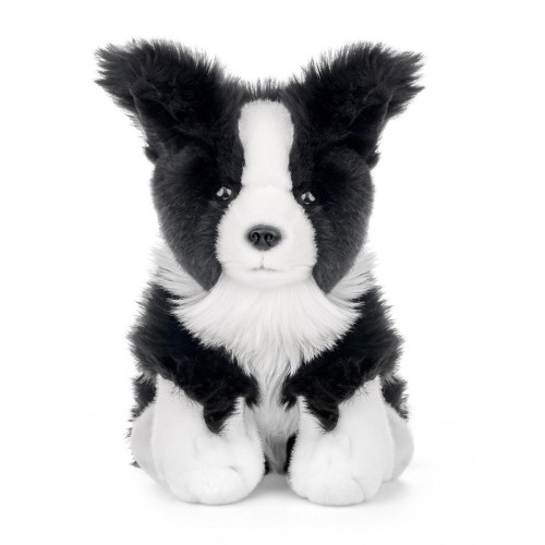 Pies border collie 23cm, Beppe