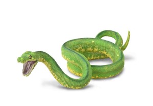 PYTON ZIELONY, COLLECTA