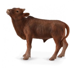 KROWA ANKOLE-WATUSI CALF, COLLECTA