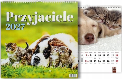 Kalendarz 2027 wieloplanszowy Przyjaciele