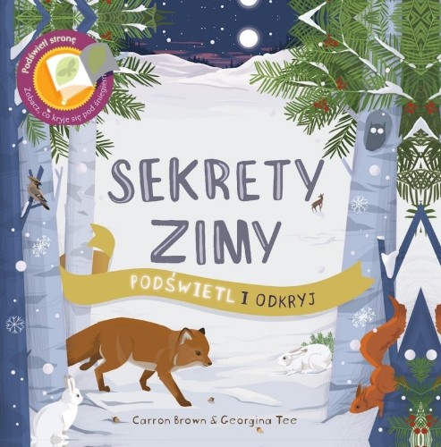 Sekrety Zimy. Podświetl i Odkryj, Carron Brown