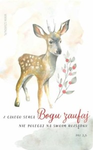MAGNES NA LODÓWKĘ - JELONEK, SZARON