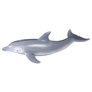 DELFIN BUTŁONOSY, COLLECTA