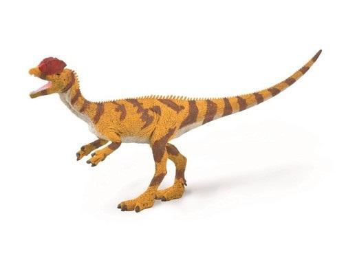 Diniozaur Dilofozaur, Collecta