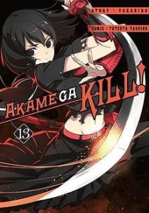 Akame Ga Kill 13