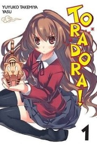 TORADORA Light Novel 1 Studio JG 