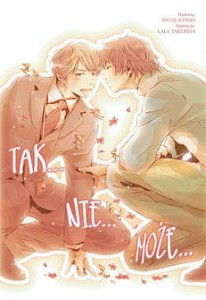 TAK NIE MOŻE Light Novel WANEKO